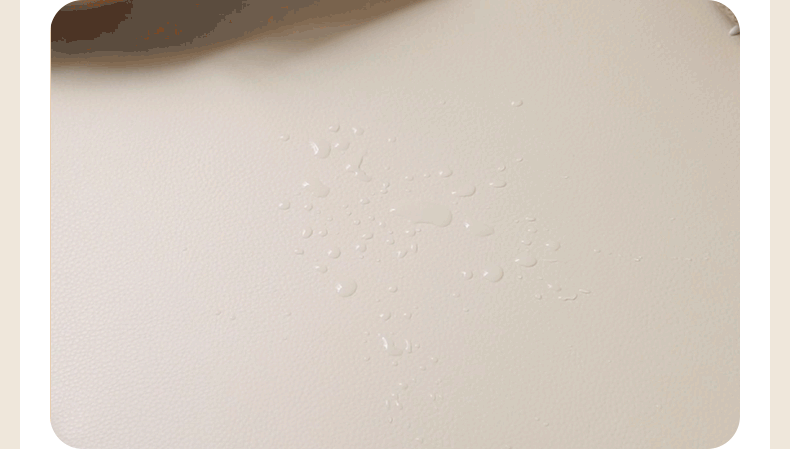 Beech Solid Wood Technology Cloth Sofa