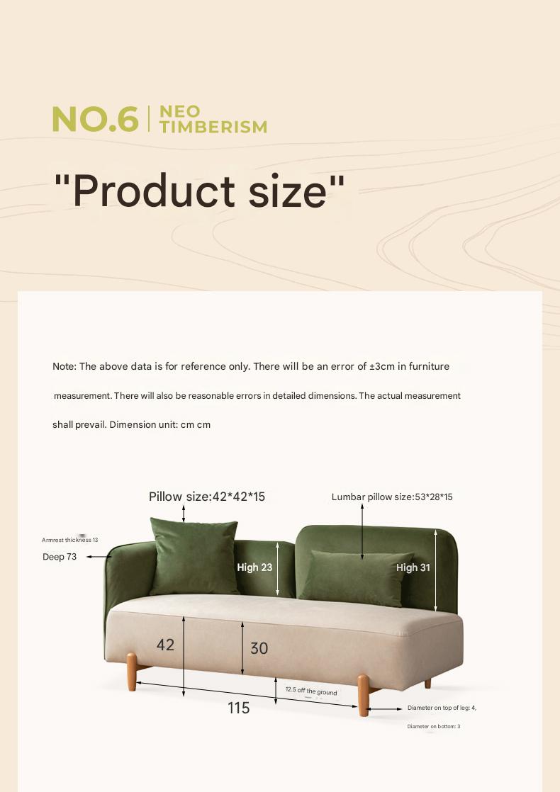 Fabric Modern Simple Double Sofa.