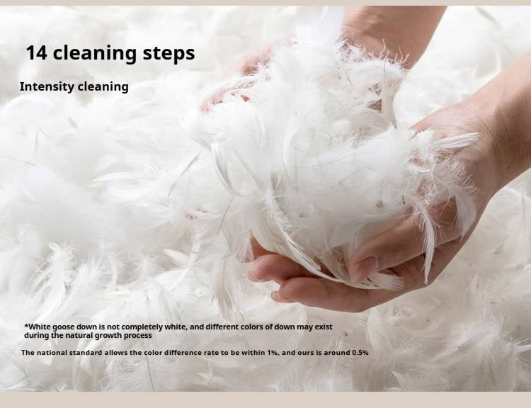 Beech Solid Wood Sofa Ancient Style