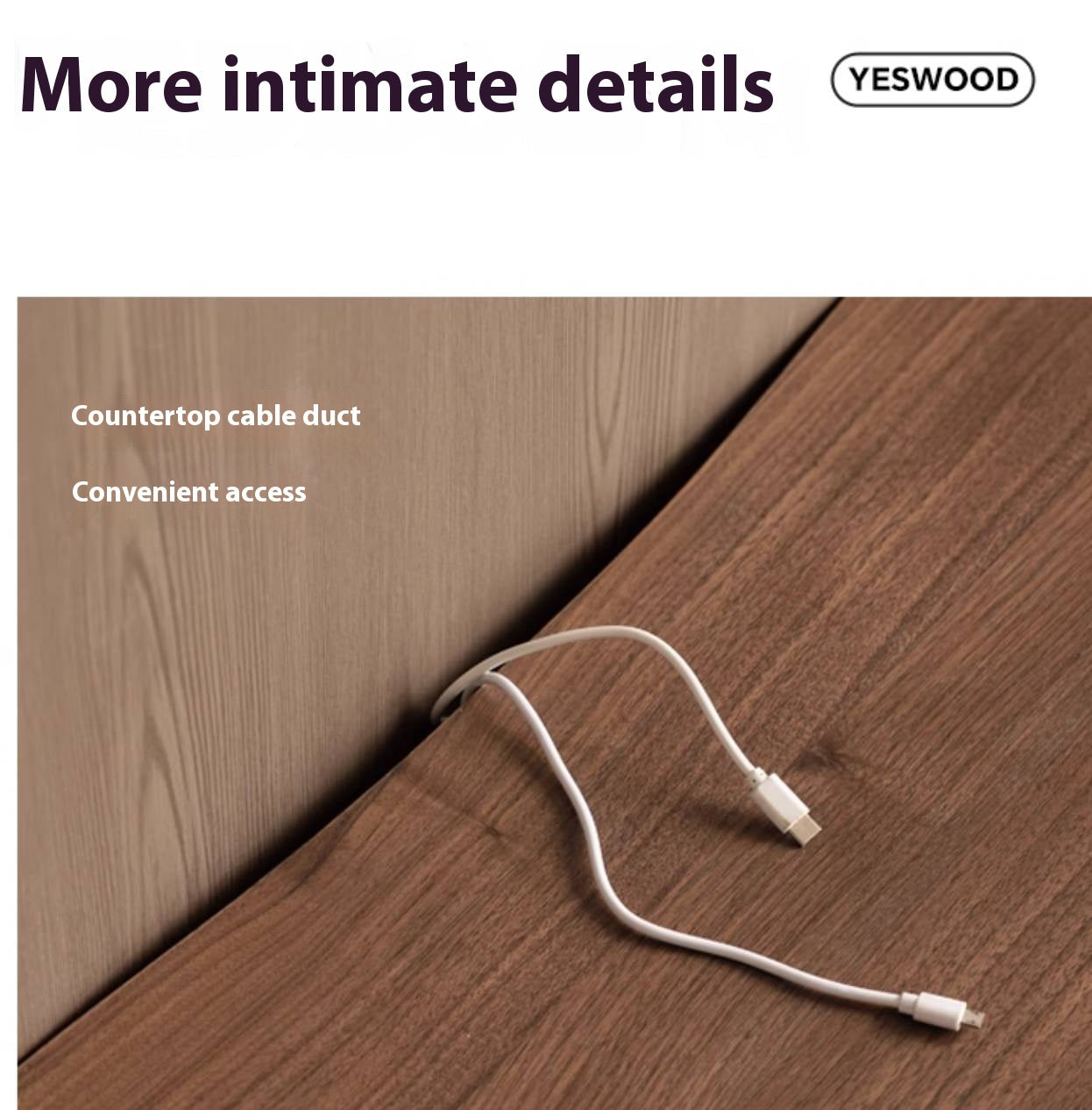 Black Walnut, Sandal Solid Wood Italian Light Luxury Style TV Stand