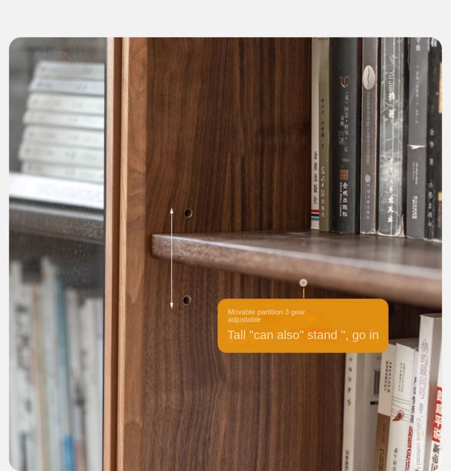 Black Walnut, Golden Sandalwood Solid Wood Bookshelf