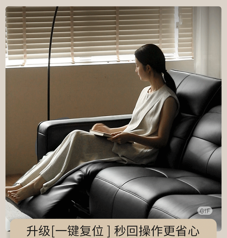 Leather Modern Style Electric Sofa