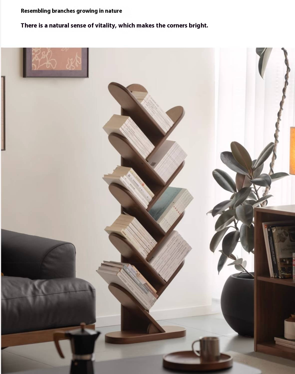 Black Walnut, South American Walnut Solid Wood Layer Rack Bookshelf