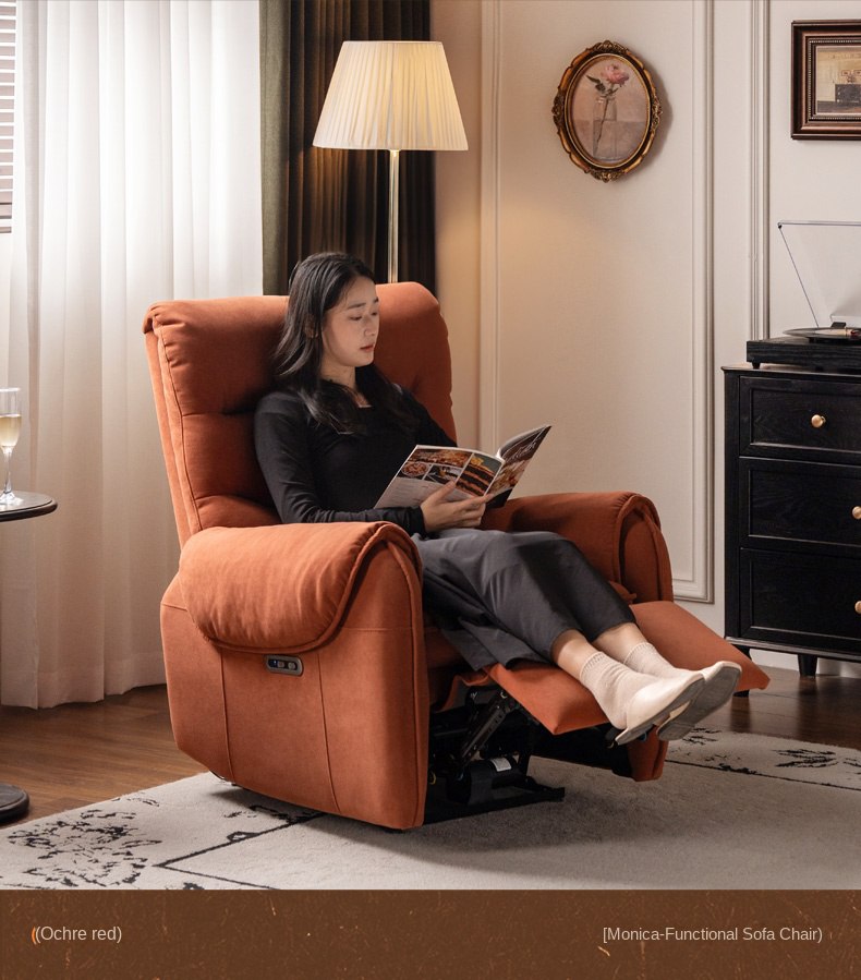 Flannel Electric Sofa Chair Living.